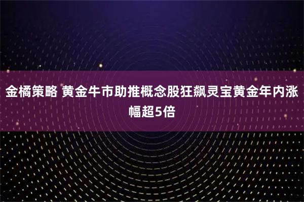 金橘策略 黄金牛市助推概念股狂飙灵宝黄金年内涨幅超5倍
