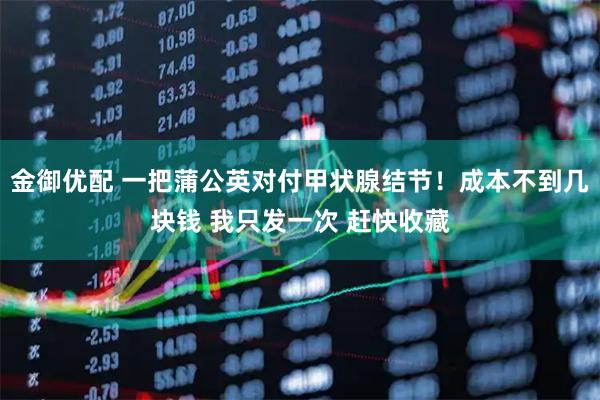 金御优配 一把蒲公英对付甲状腺结节！成本不到几块钱 我只发一次 赶快收藏